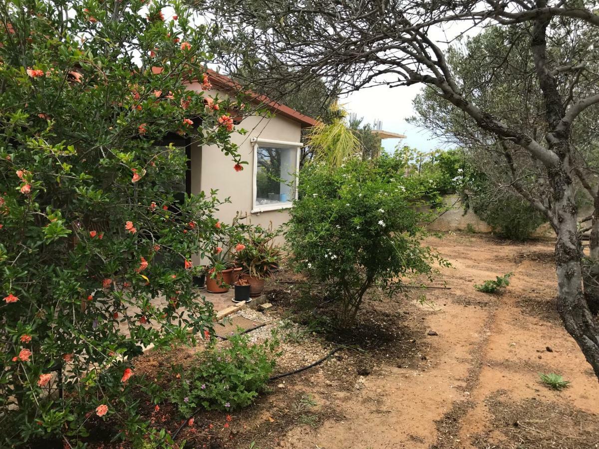Anni House In Stavros Villa Buitenkant foto